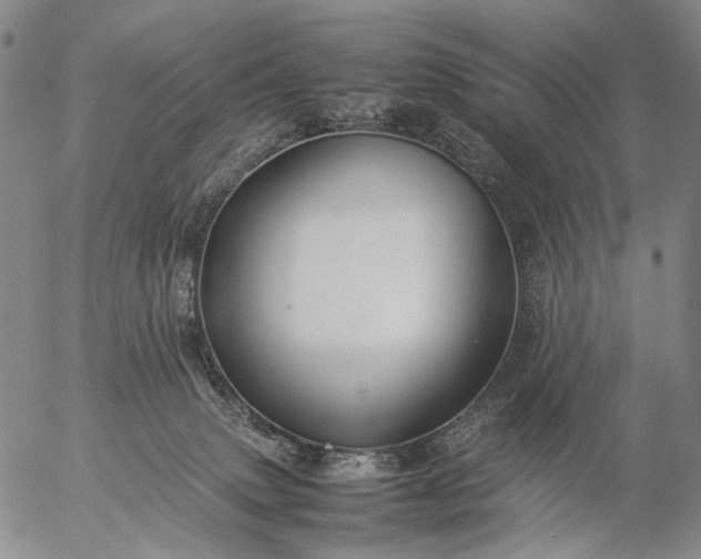 X0000057100083200509231727