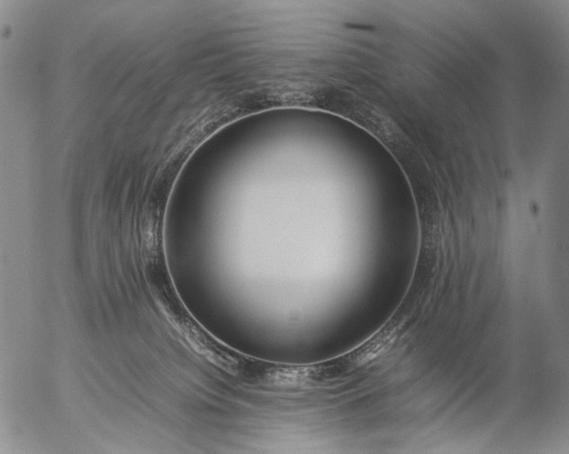 X0000057100084200509231727