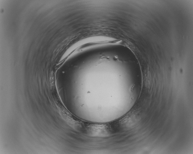 X0000057100085200509231727