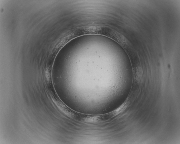 X0000057100086200509231727