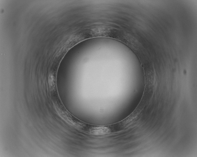 X0000057100087200509231727