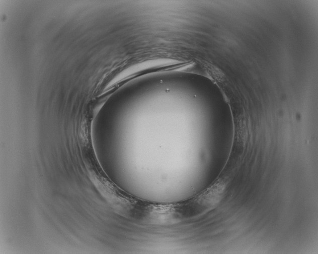 X0000057100088200509231727