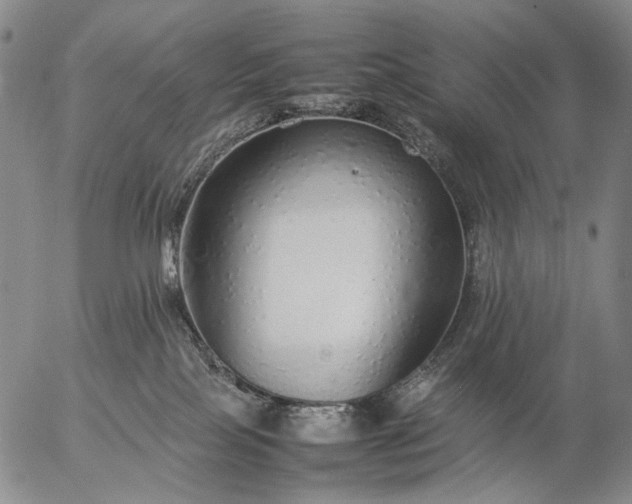 X0000057100089200509231727