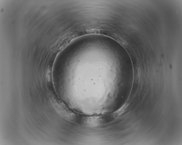 X0000057100090200509231727