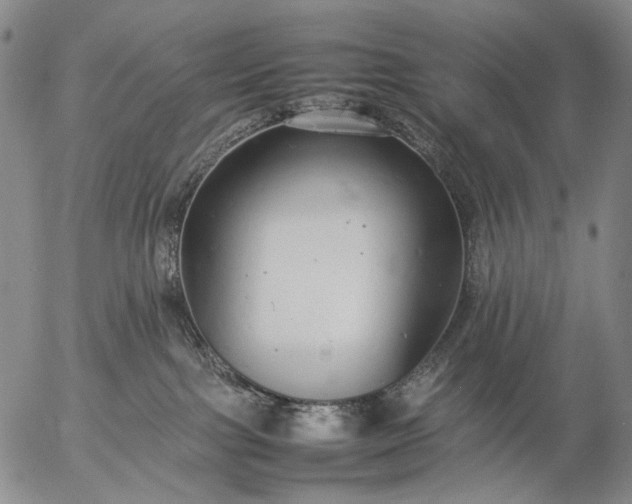 X0000057100091200509231727