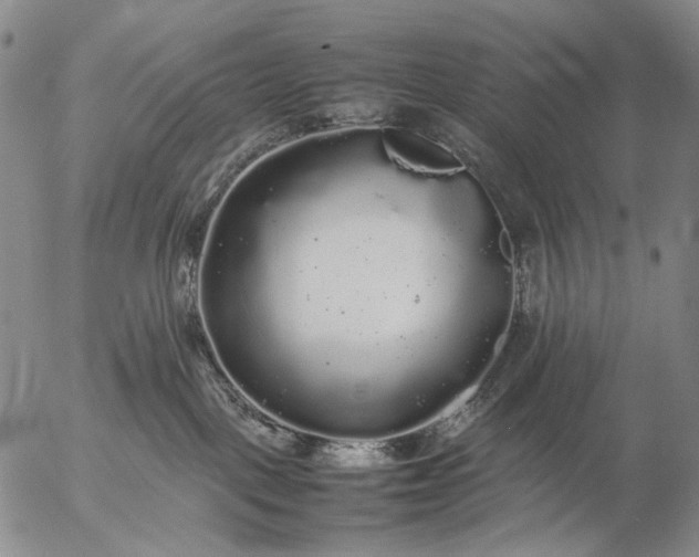 X0000057100093200509231727