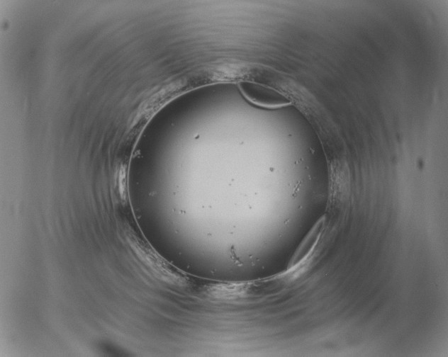 X0000057100094200509231727