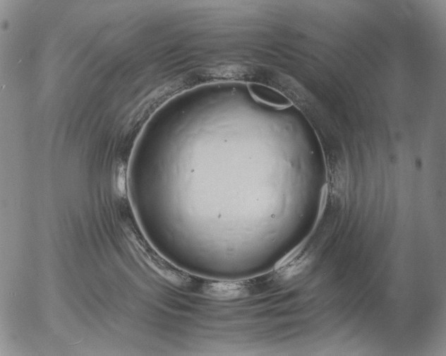 X0000057100095200509231727