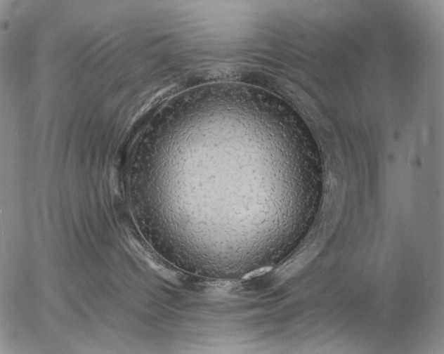 X0000057100096200509231727