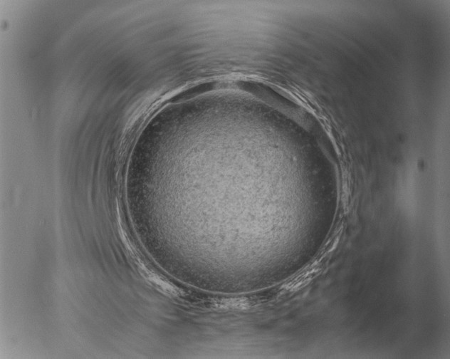 X0000057100097200509231726