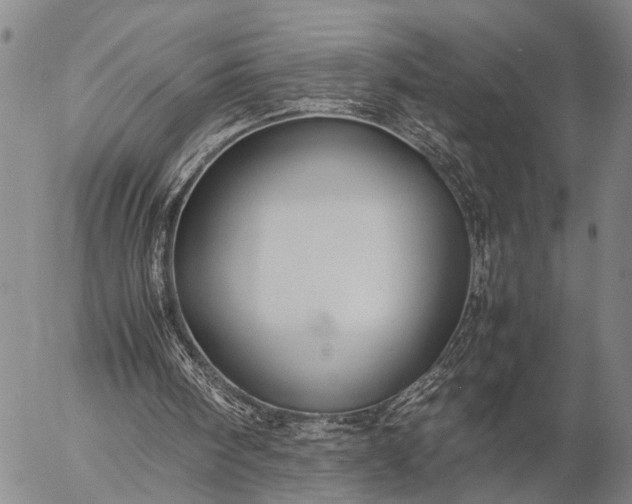 X0000057100098200509231726