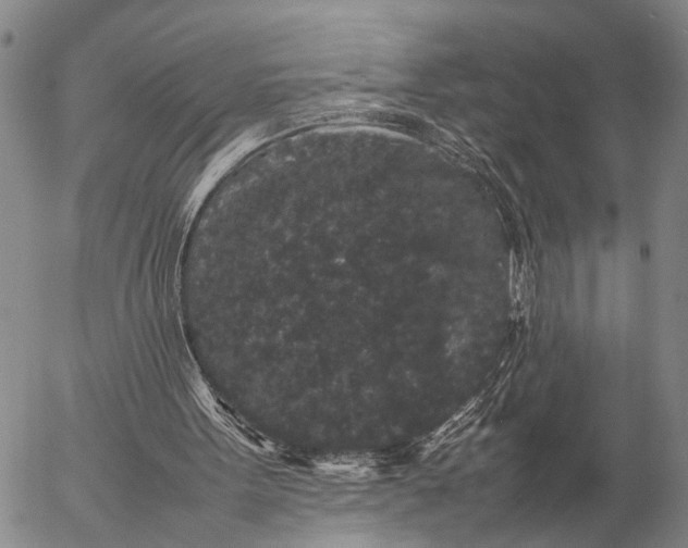 X0000057100099200509231726