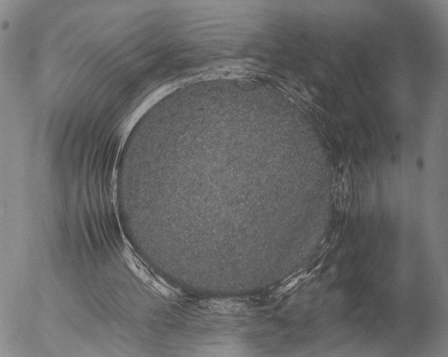 X0000057100100200509231726