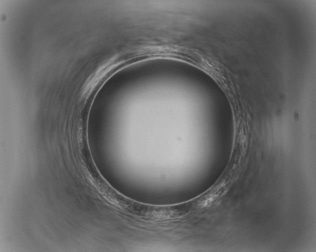 X0000057100103200509231726