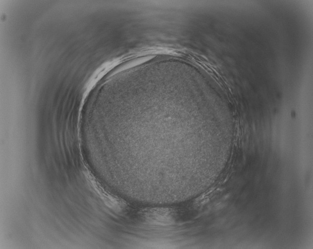 X0000057100104200509231726