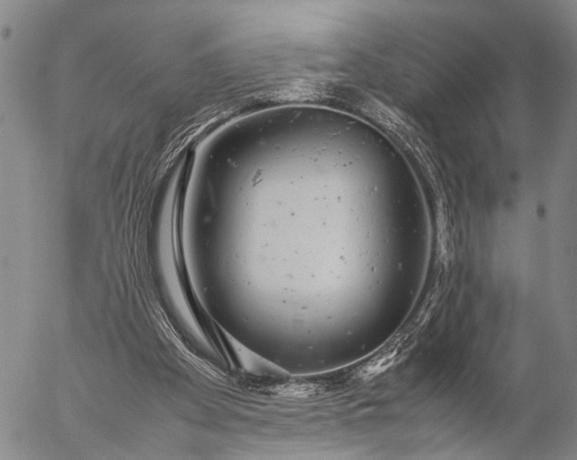 X0000057100105200509231726