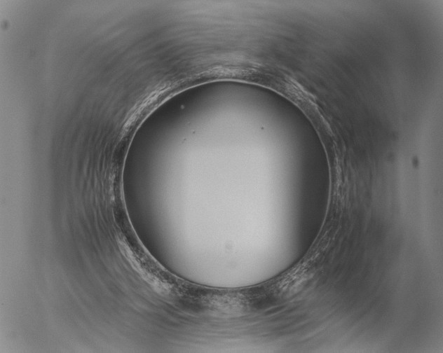 X0000057100106200509231726