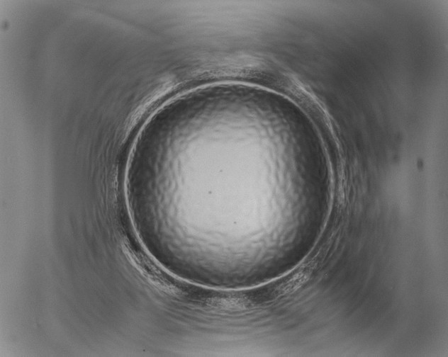 X0000057100107200509231726