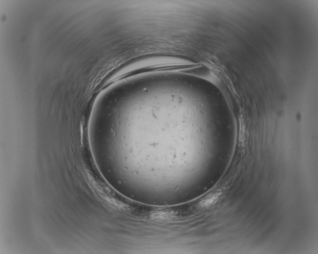 X0000057100109200509231726