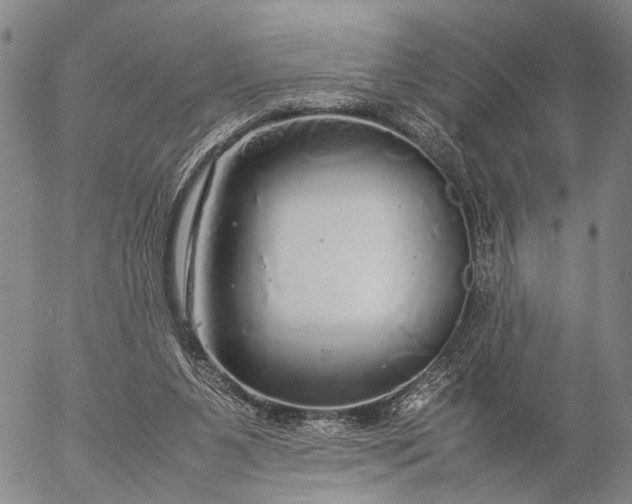 X0000057100111200509231726