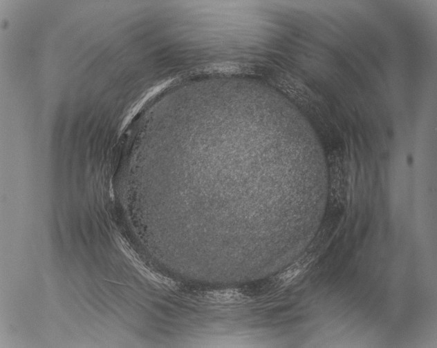 X0000057100112200509231726