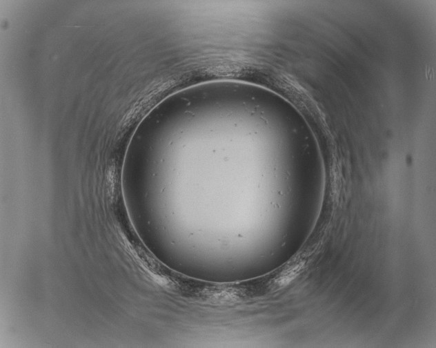 X0000057100113200509231726