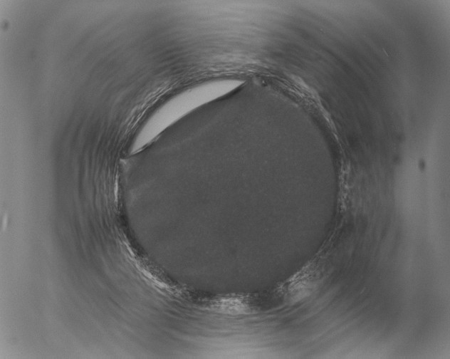 X0000057100114200509231726