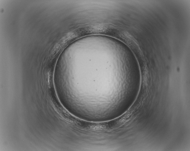 X0000057100115200509231726