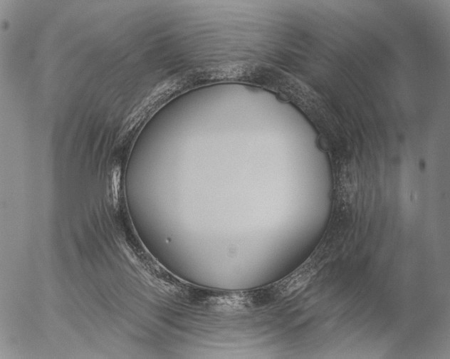 X0000057100118200509231726