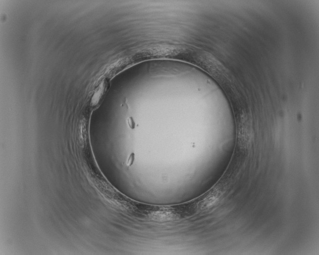 X0000057100119200509231726