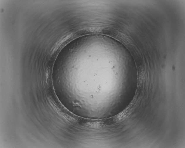 X0000057100120200509231726