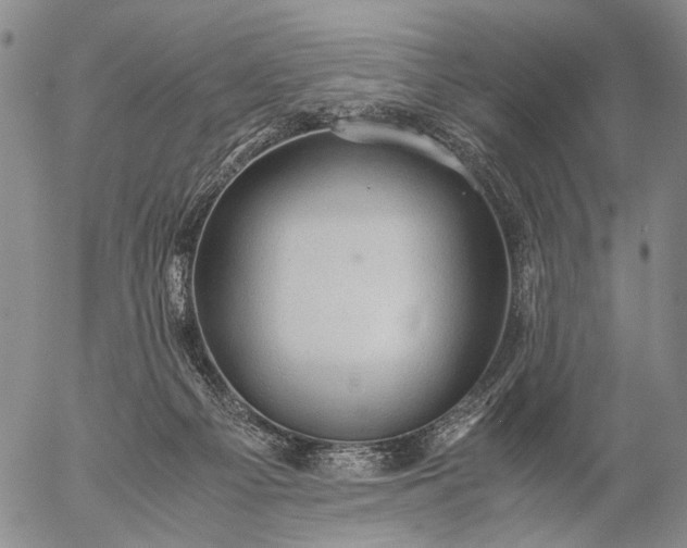 X0000057100121200509231726