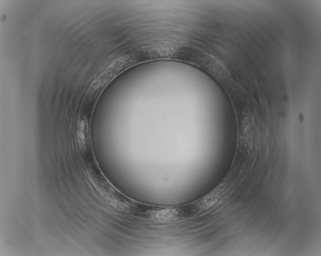 X0000057100122200509231726