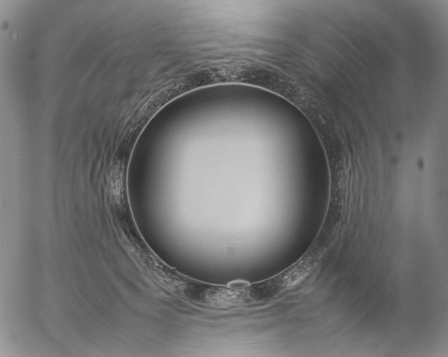 X0000057100129200509231726