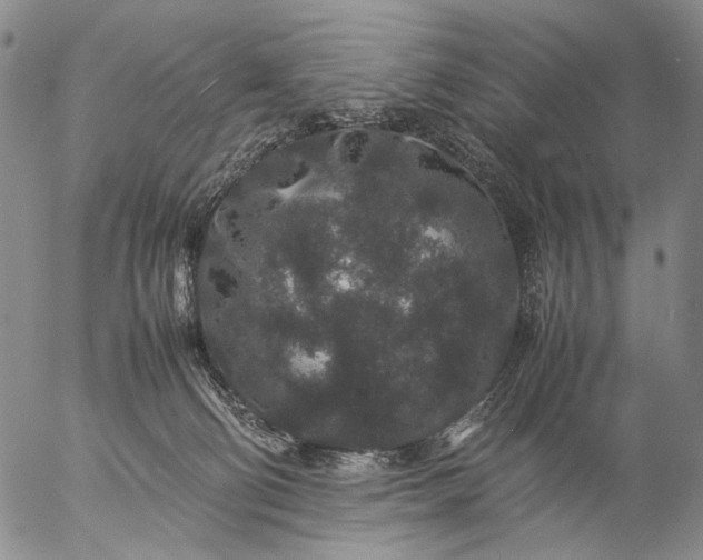 X0000057100130200509231726