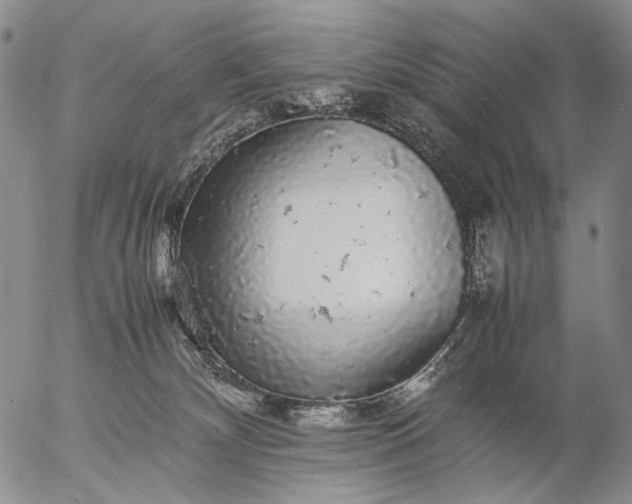 X0000057100132200509231726