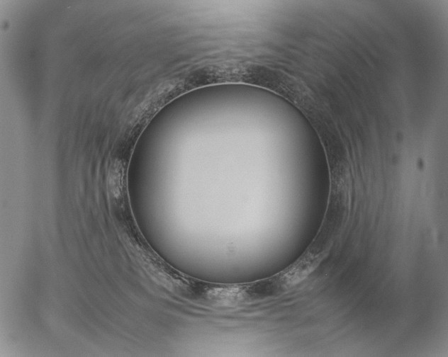 X0000057100133200509231726