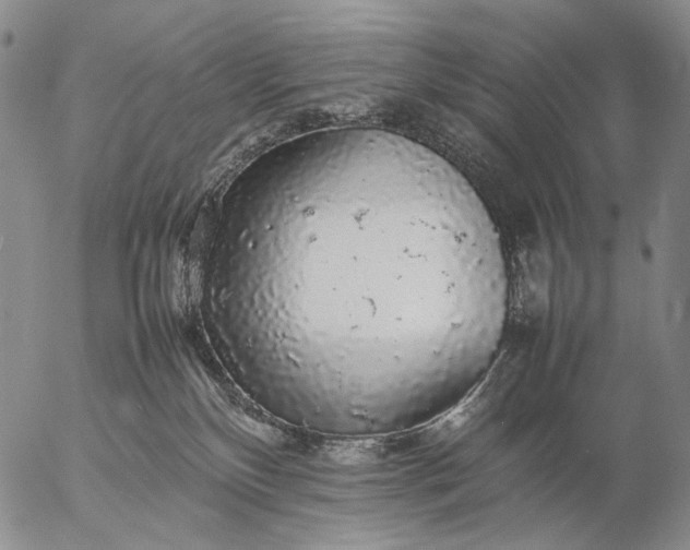 X0000057100136200509231726