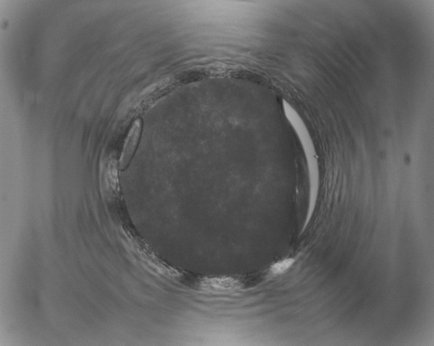 X0000057100137200509231726