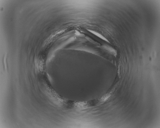 X0000057100139200509231726