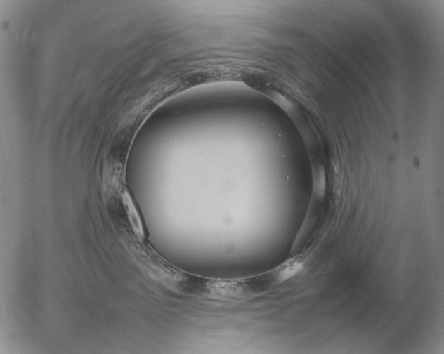 X0000057100141200509231725