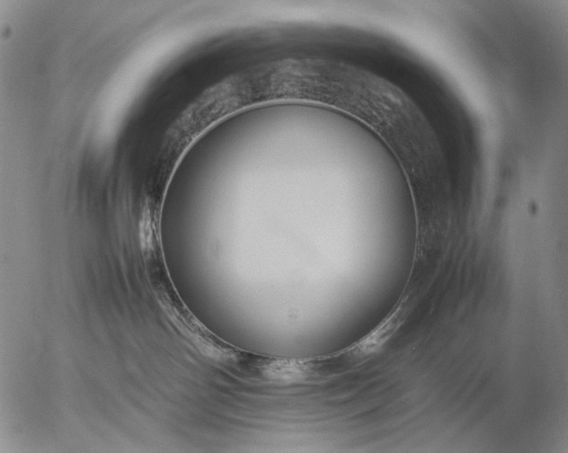 X0000057100142200509231725