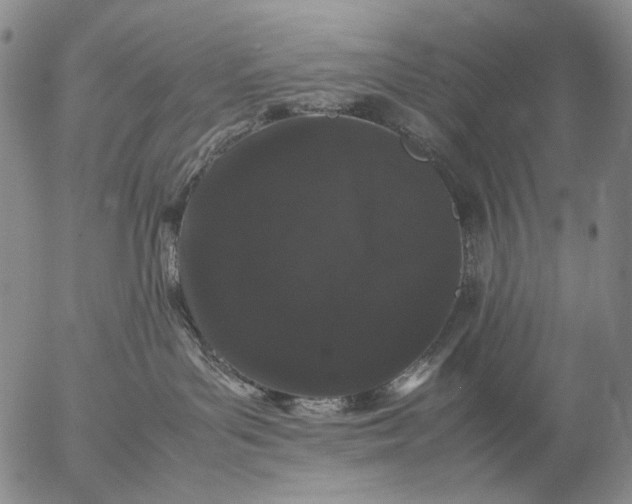 X0000057100143200509231725