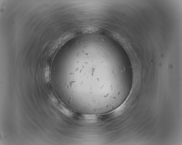 X0000057100144200509231725