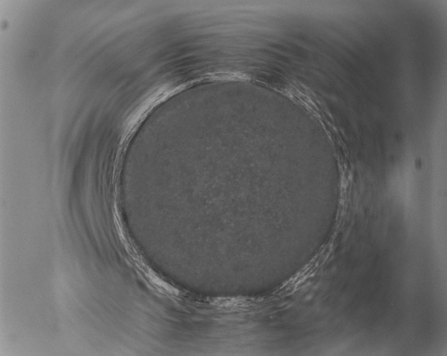 X0000057100145200509231725