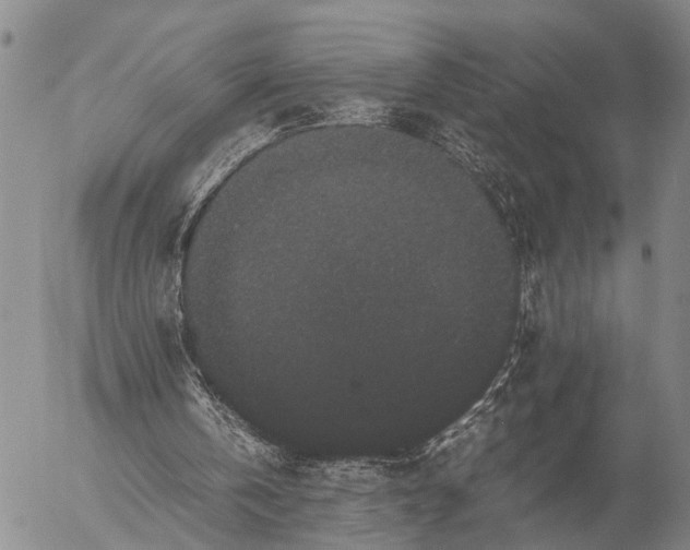 X0000057100146200509231725