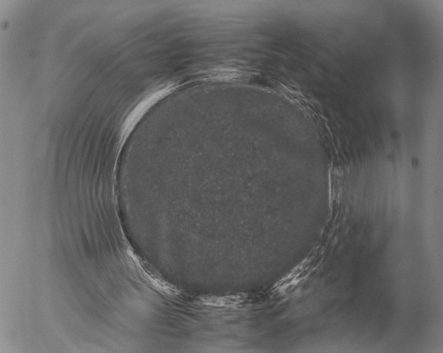 X0000057100147200509231725