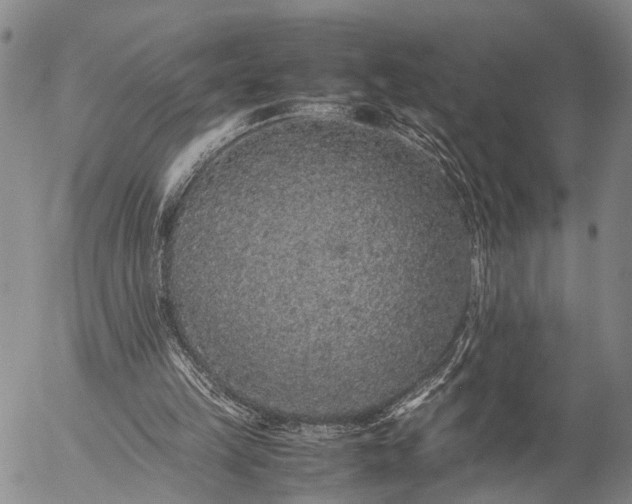 X0000057100149200509231725