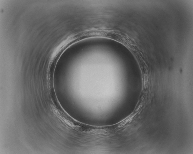 X0000057100150200509231725