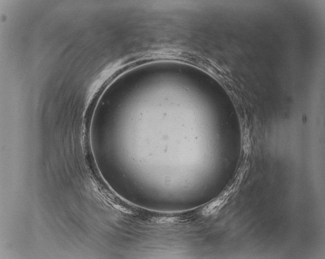 X0000057100152200509231725